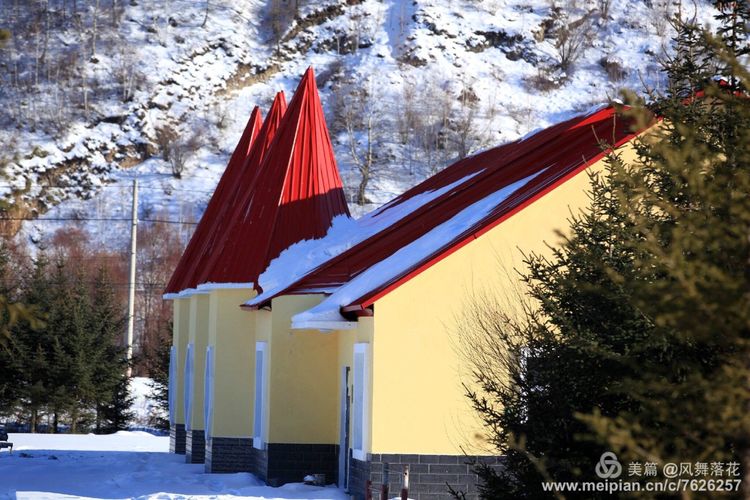 白狐千年等待只为今生相遇,白狼一生只爱一人