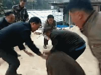 小伙第一次开皮卡,小伙子开皮卡车