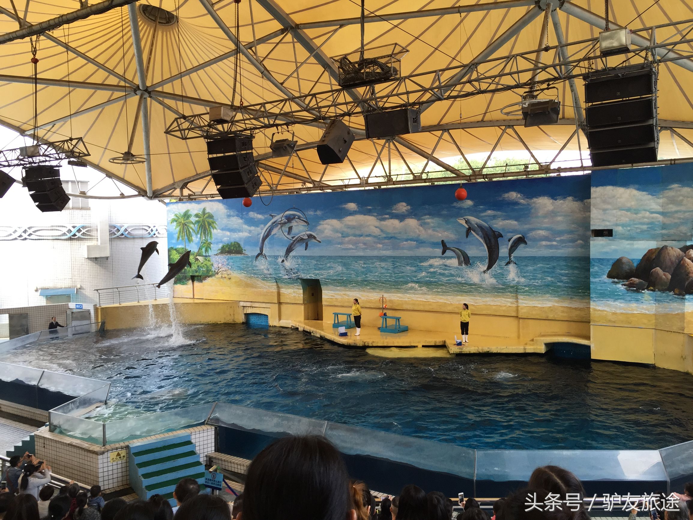 广州长隆亲子游旅行攻略,广州长隆4园2天1夜亲子游攻略