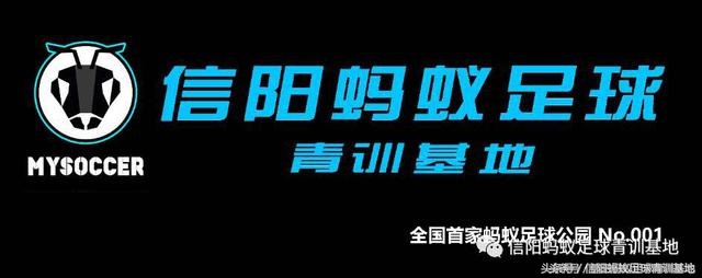2019年固始县足球比赛,新县vs固始篮球赛