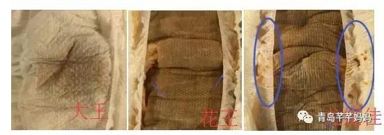 尤妮佳纸尿裤好还是花王妙而舒好,大王天使和花王妙而舒哪个好用