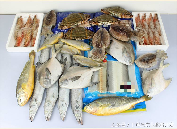 宁波海鲜餐排行榜第一名,宁波江北区海鲜排行榜前十名