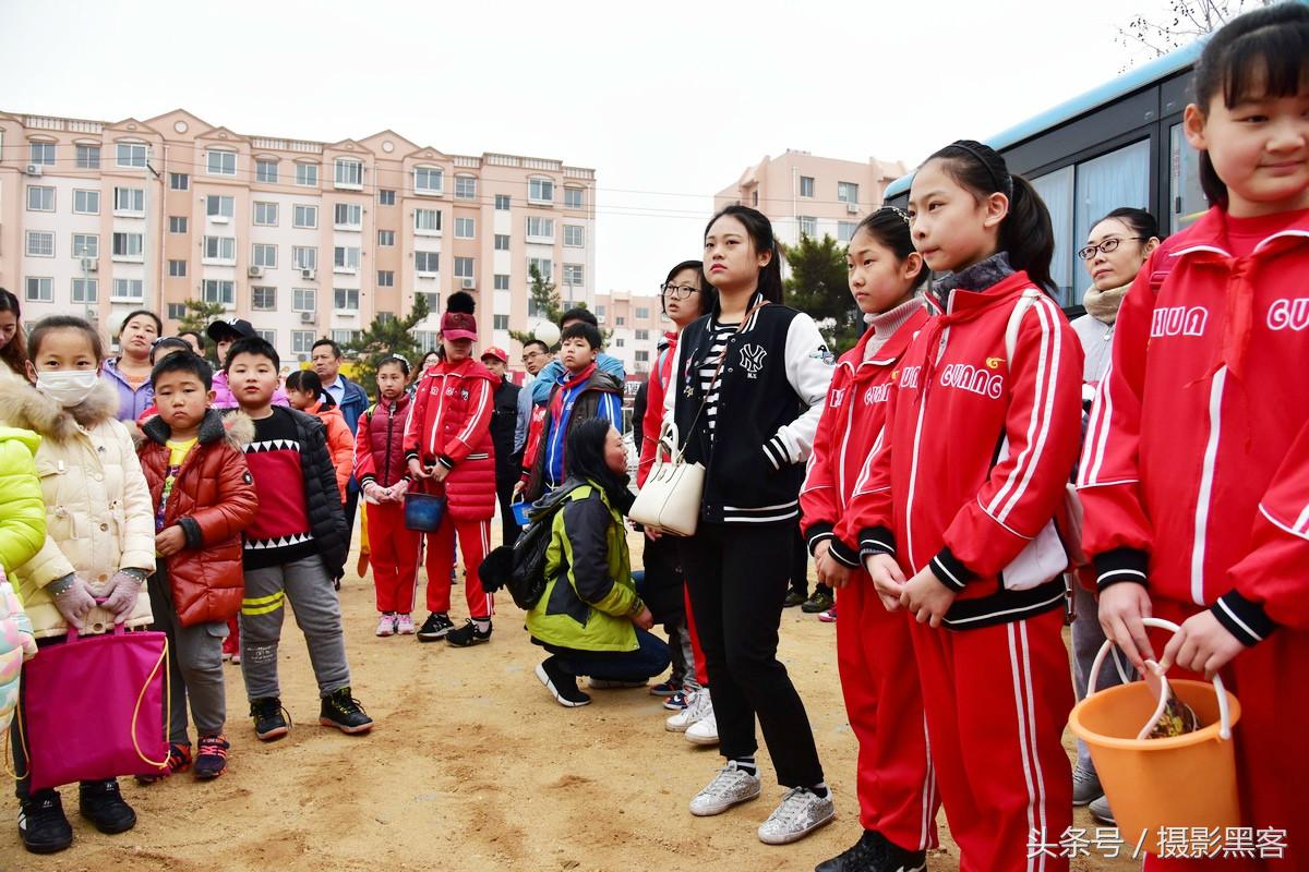 义务植树与创建森林城市,共建文明城市小学生