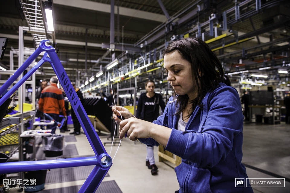 canyon自行车专卖店直播,德国自行车canyon