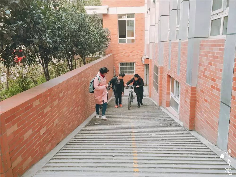 穿上校服,再去蚌埠这所学校走一遍,满满的回忆……