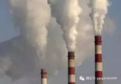 养殖塘的藻类培养技巧牢记这三点,如何提高水产养殖效益