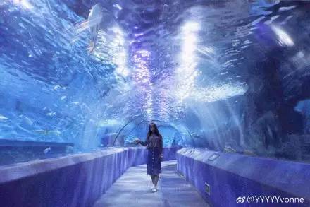 南京春天适合孩子玩的地方,南京情侣适合玩的地方旅游攻略