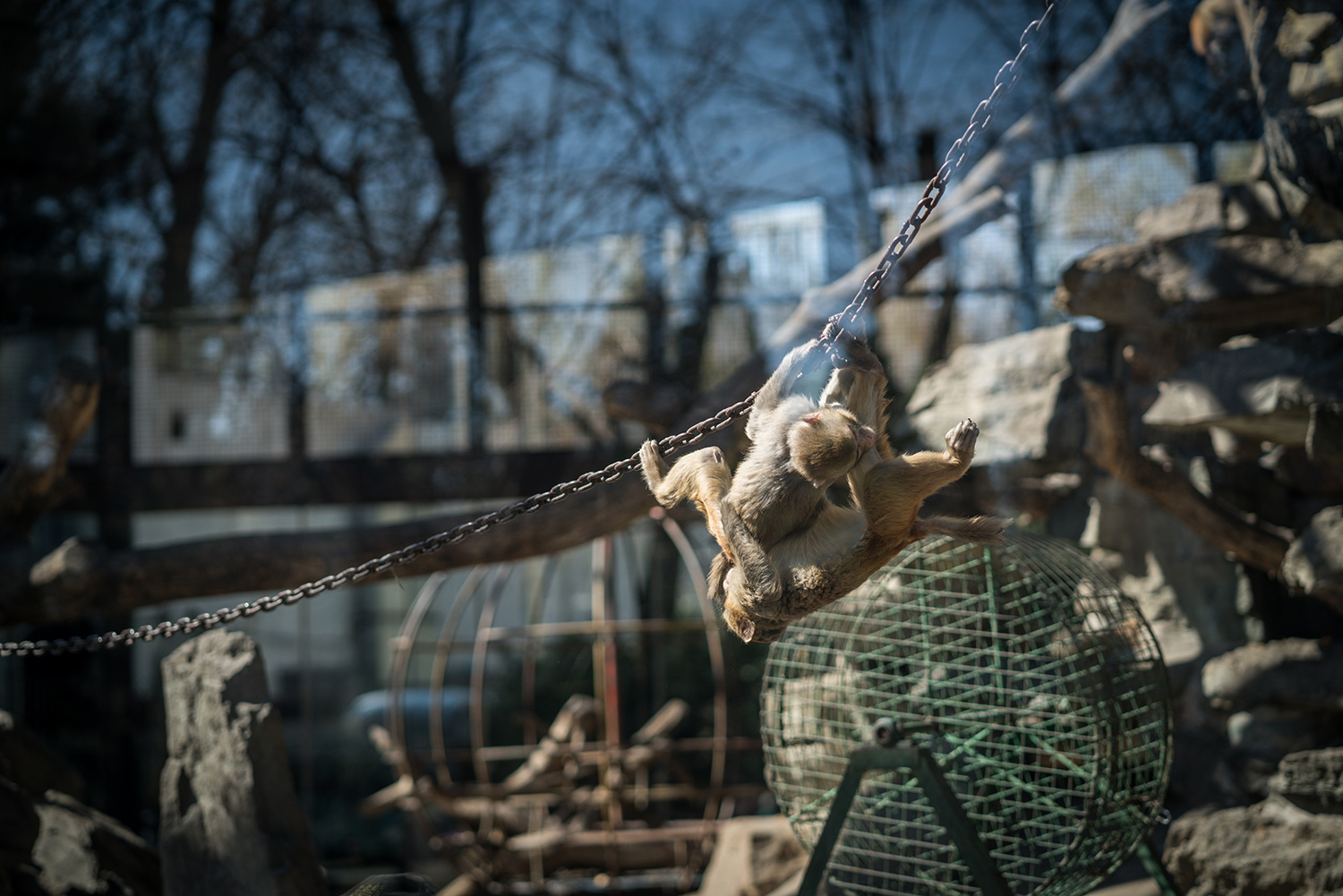 索尼fe85mmf18镜头正式开启预售,索尼fe85mmf1.8风景