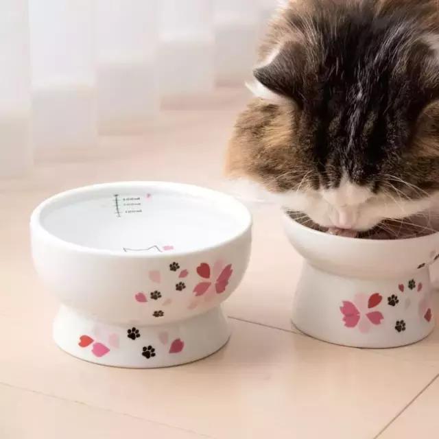 樱花季限定单品,樱花季限定款好物盘点