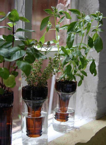 如何用塑料瓶做花盆图解,怎么用塑料瓶做花盆图解