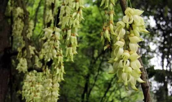 说走就走的踏青,说走就走的看花之旅