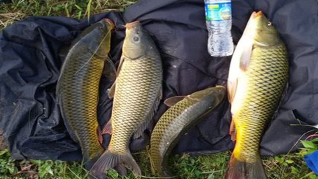 穿耐克跑鞋训练,nike气垫鞋舒服吗