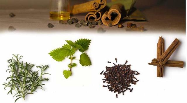 lush护肤品,lush护肤品如何