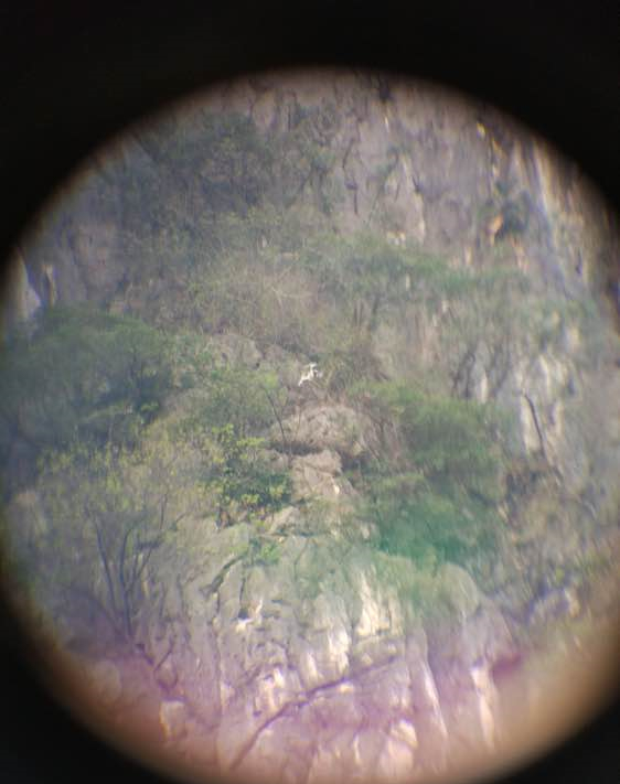 大疆精灵3se自动返航如何操作,大疆精灵3a怎样调一键返航高度