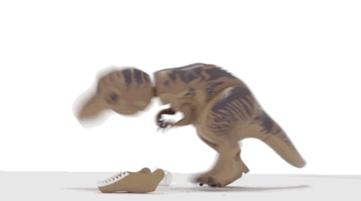 今天是我的这件衣服五岁的生日……