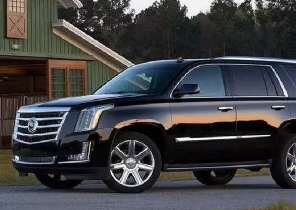 刘烨和谢娜当年有多甜蜜,刘烨和谢娜的爱情史