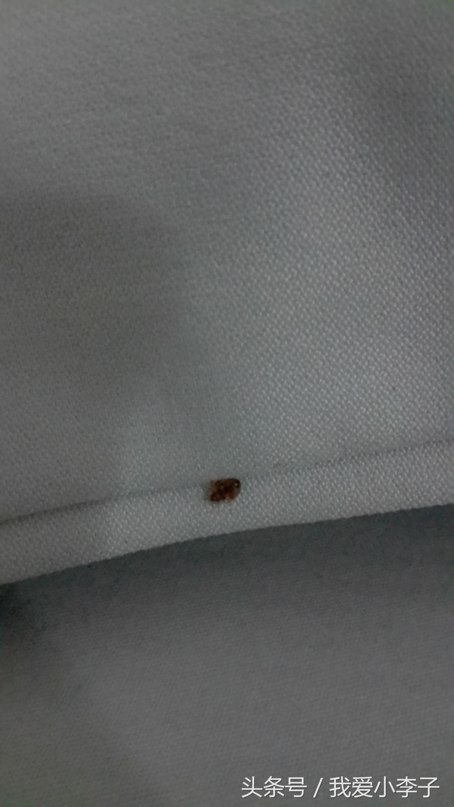 越南旅游住民宿和旅馆区别,越南旅游住公寓酒店怎么样