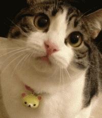 真迪奥口红和假迪奥口红的区别,迪奥口红999哑光口红真假