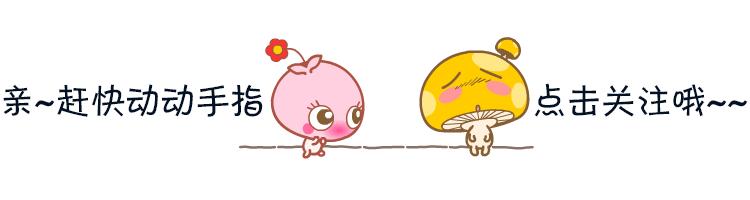 云南英安航空公司最新消息,英安航空