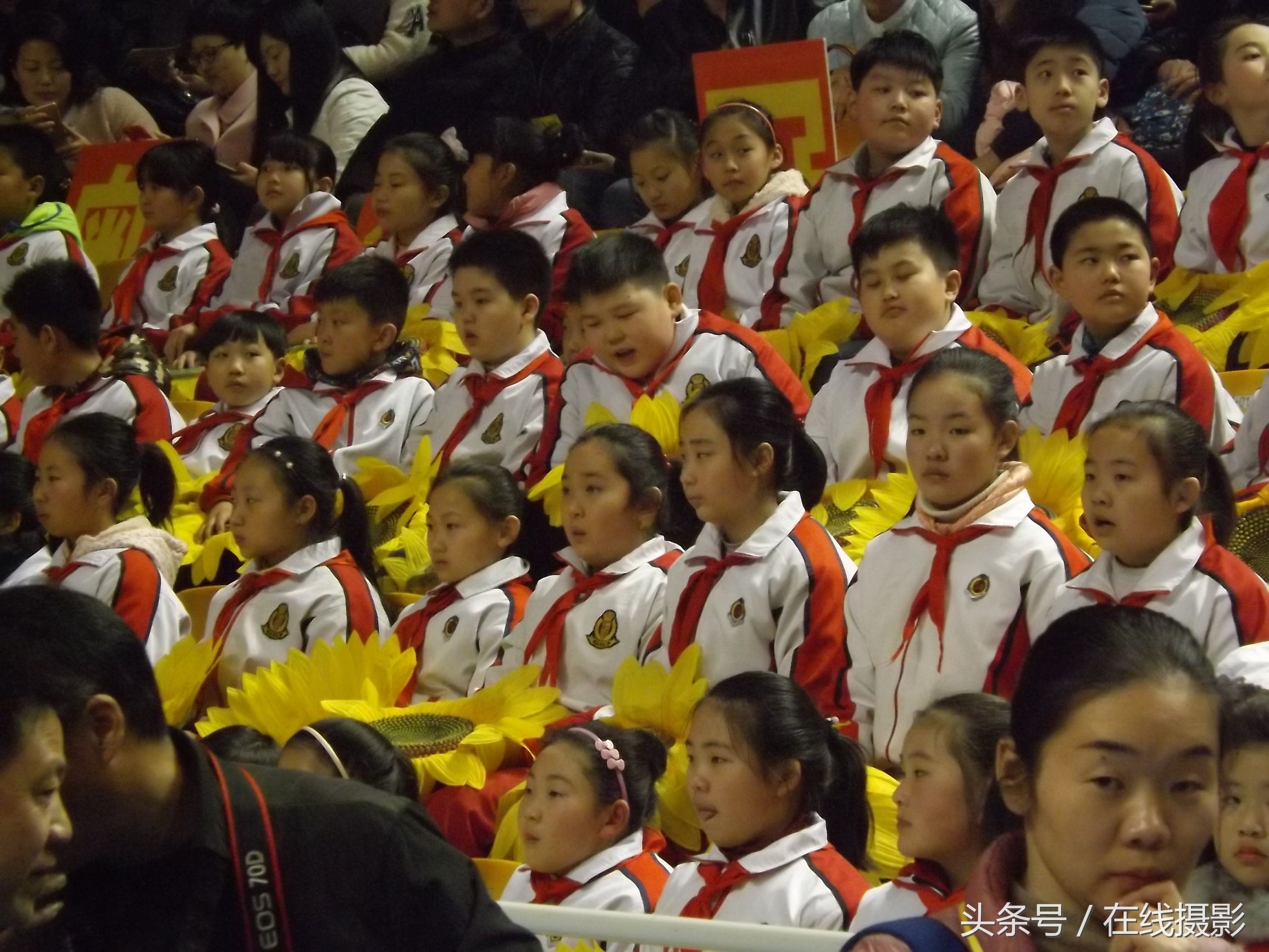 马琳王皓南阳行,奥运会男单乒乓球决赛刘国梁