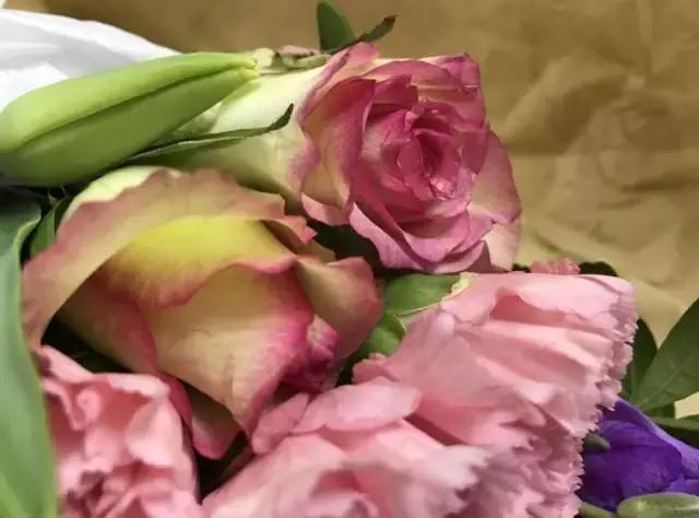 我们用1000元的教训告诉你:包月鲜花全是坑!一家都不推荐!