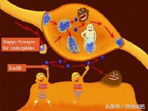 快快“快乐”丨据说它是可以让你笑着变年轻的神秘激素