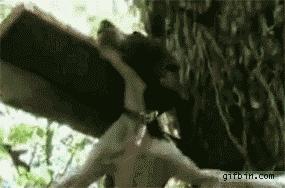 车可以不要,但炸鸡得留下