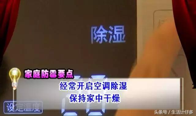 回南天的霉菌用什么擦洗,回南天霉菌怎么消