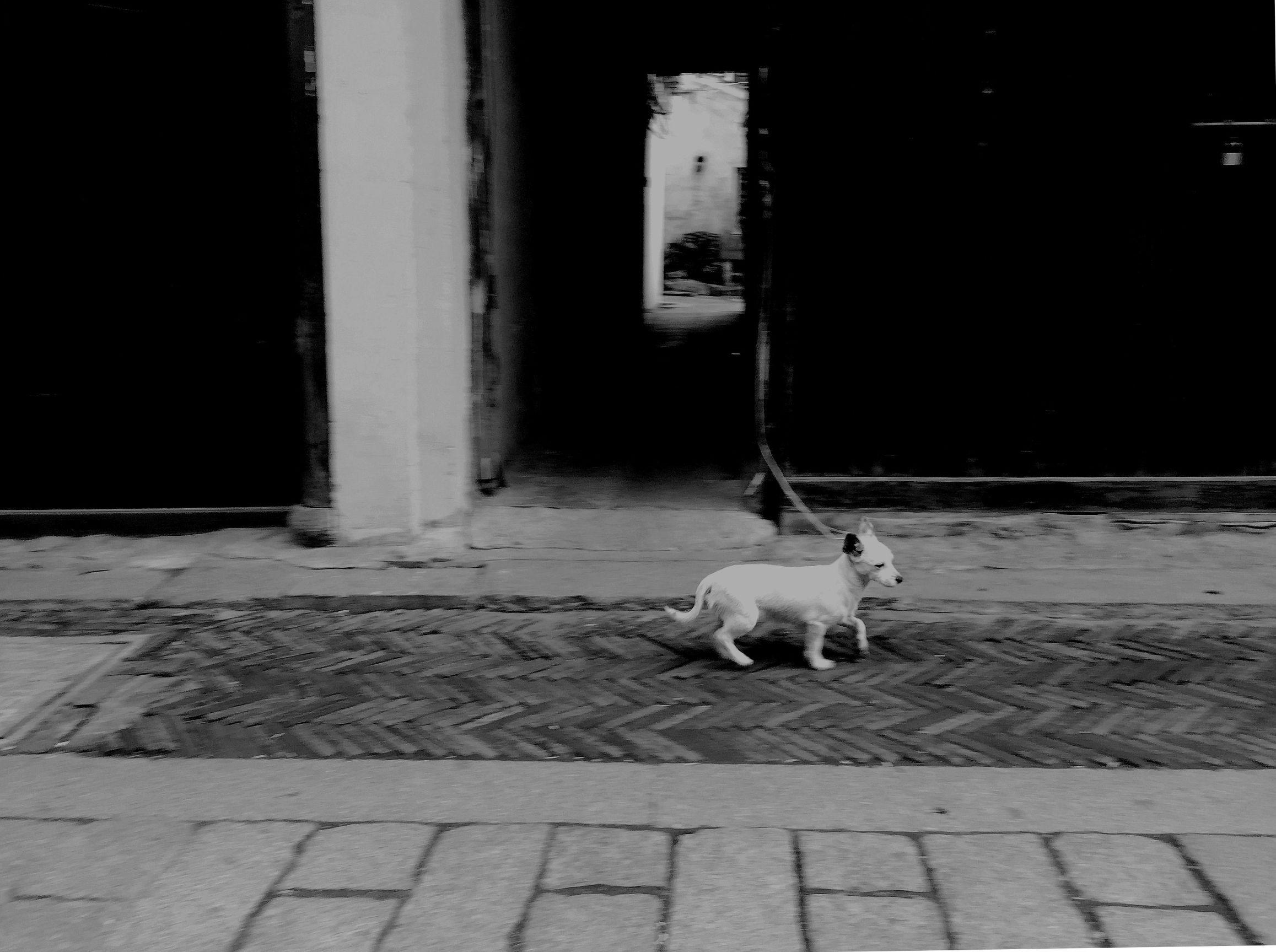 沙溪镇历史,太仓沙溪古镇有多少年历史