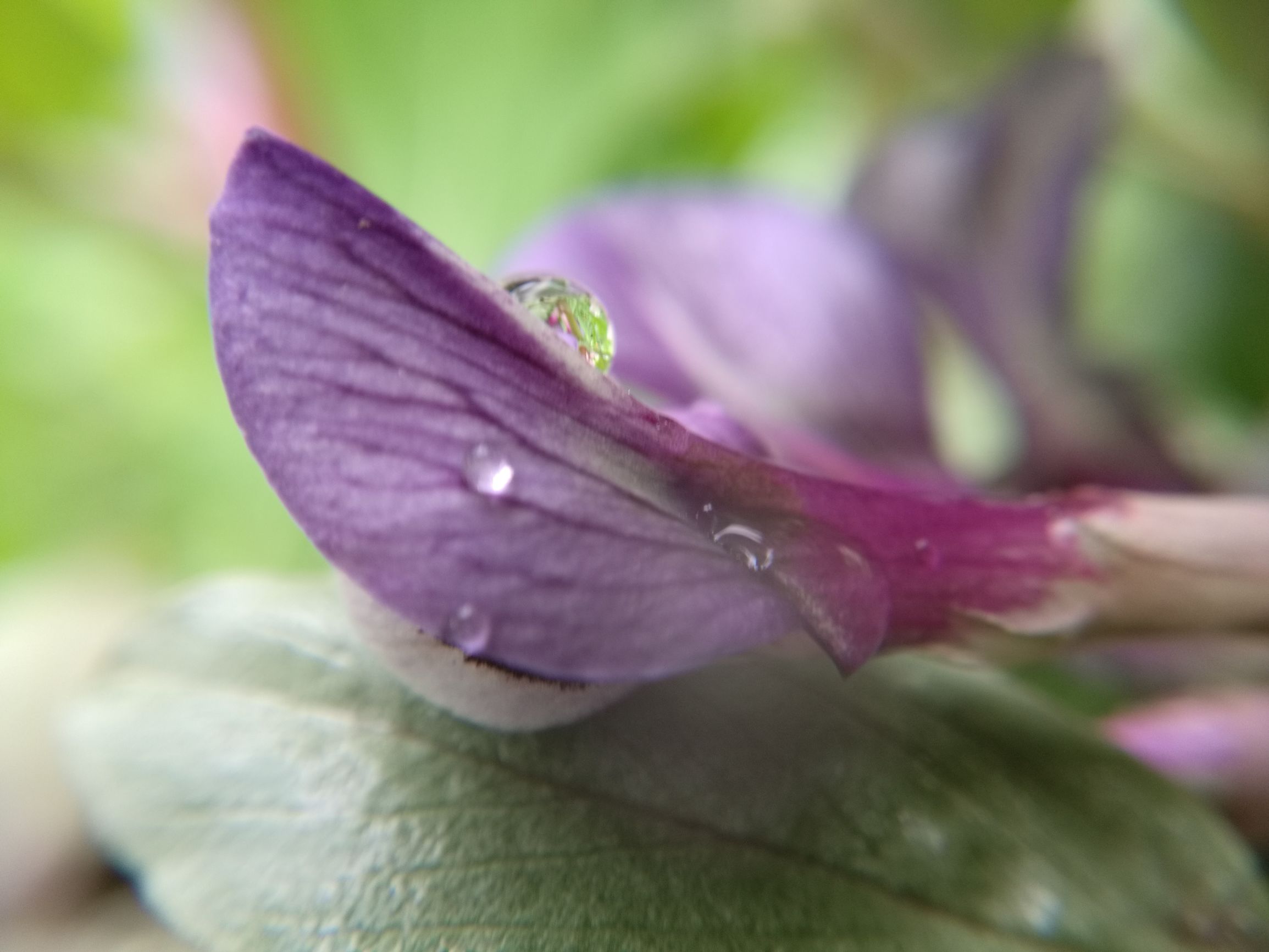 第三天，错过宿营地！「千里走单骑X2」零经验骑行者的日记！