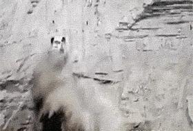 今日GIF「20期」：联合国确认1992年生的人已经步入中年