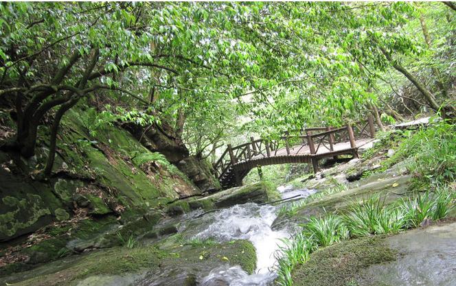 恩施森林旅游,恩施咸丰坪坝营旅游景点