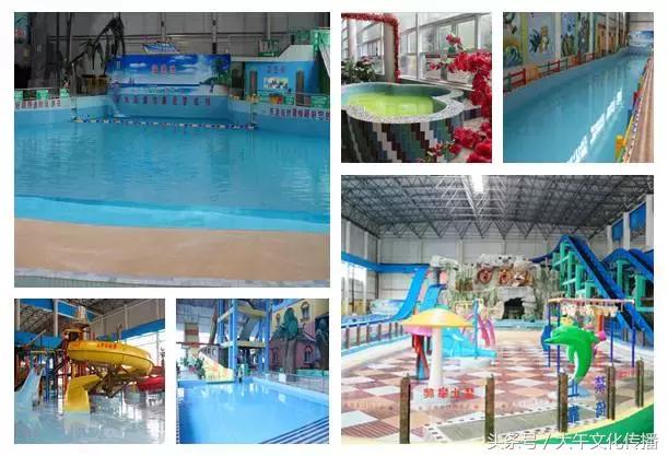 春日出行,春日出行话题