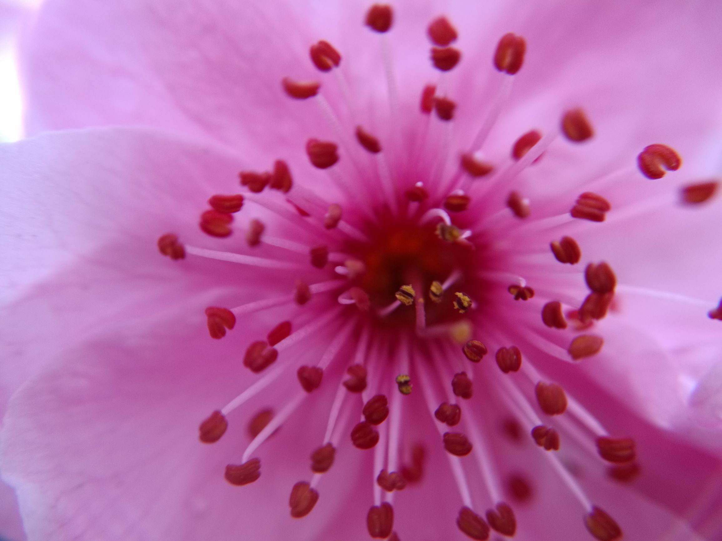 第三天，错过宿营地！「千里走单骑X2」零经验骑行者的日记！