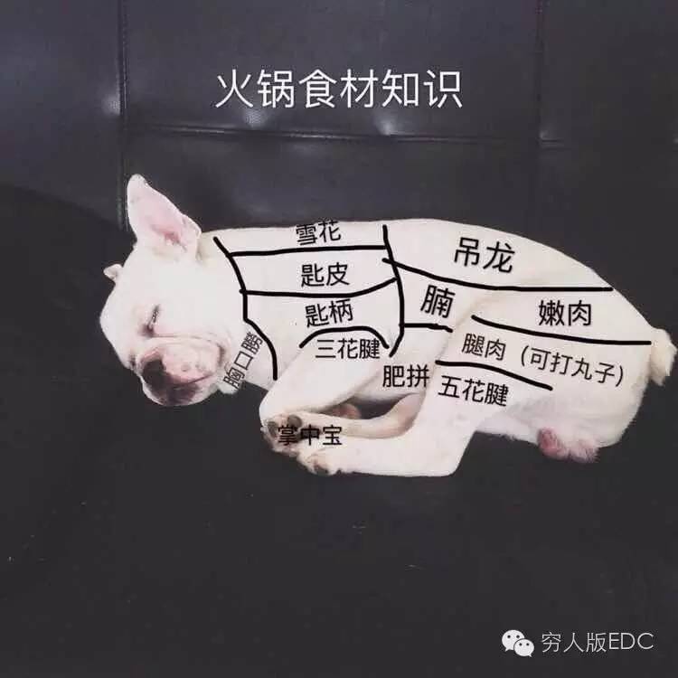 关于国潮视频,关于讲述国潮的视频