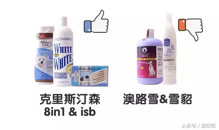 宠物香波哪个好用,什么宠物香波好用