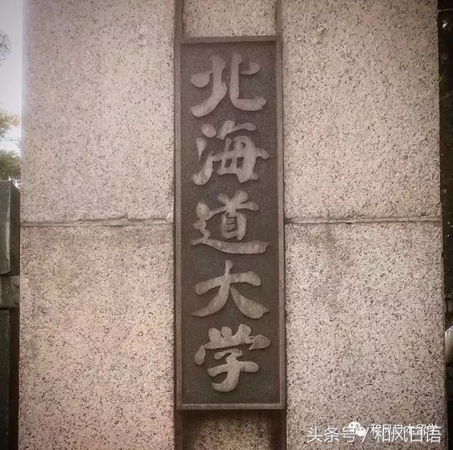 颜值与实力兼备高校,北大为何这么强大