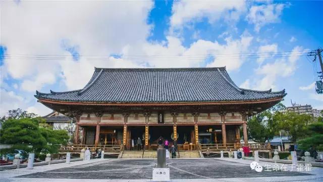 拉面 · 自动贩售机 · 雪｜云之彼岸的日本欢脱之旅