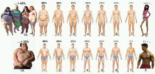 体脂率降低1%体重大约降多少,小体重人群怎么降低体脂率