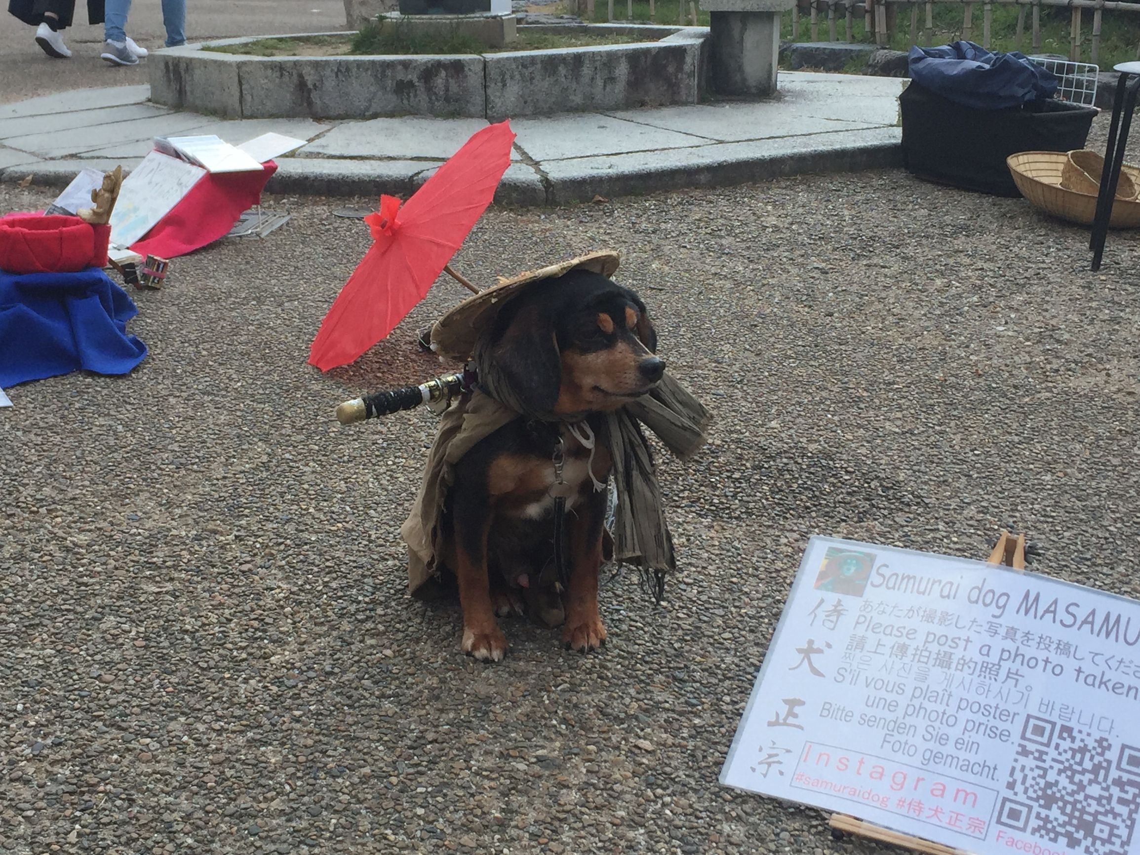 茶之道在于心静,茶是心静的良药