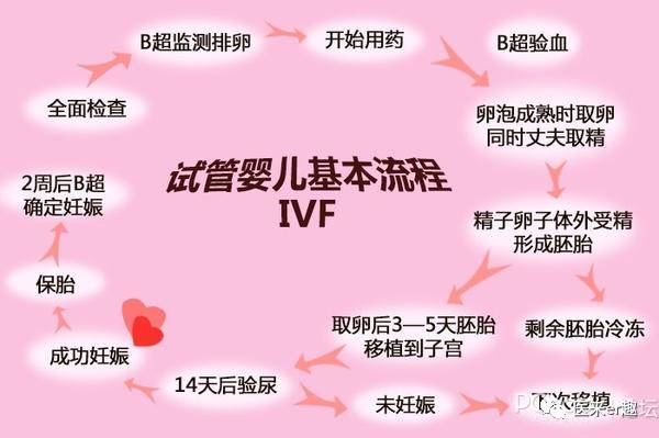 高芹医生为您揭开试管婴儿的“神秘面纱”