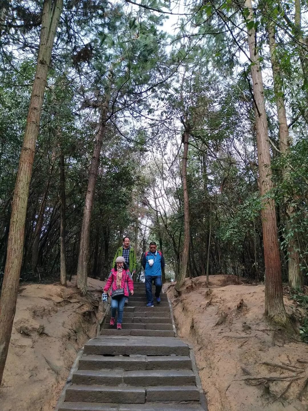 老人湖南旅游攻略,湘西旅游攻略中老年游玩