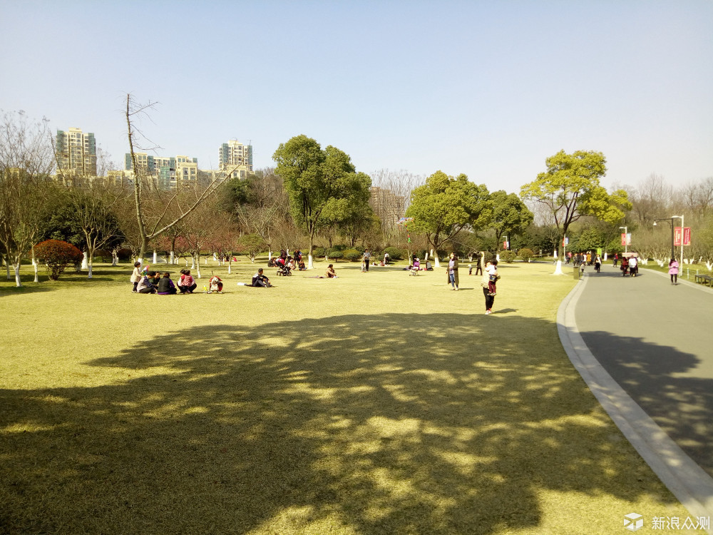 竟然“金玉其外，____”，十天体验揭开魅蓝5s真相！