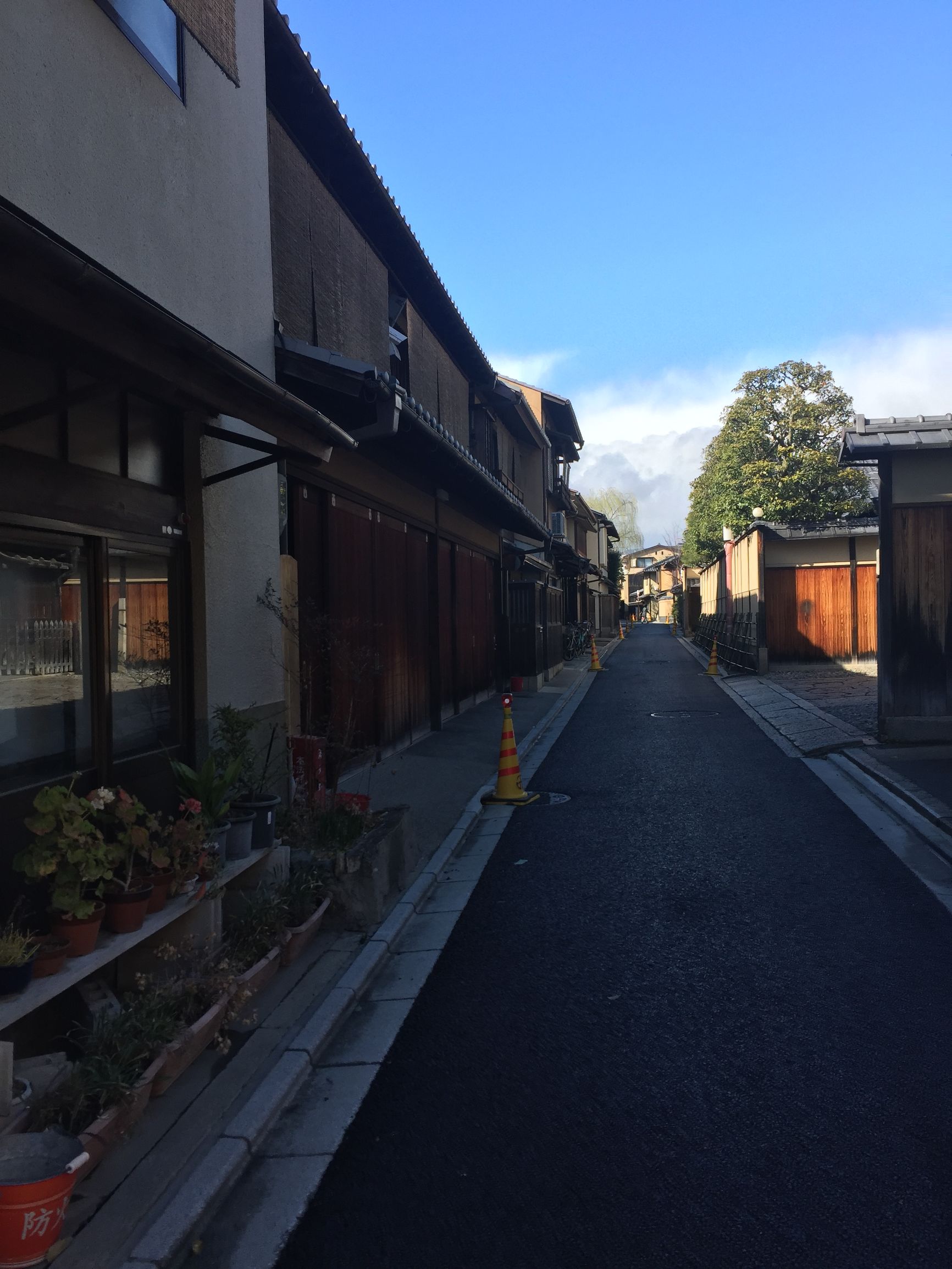 茶之道在于心静,茶是心静的良药