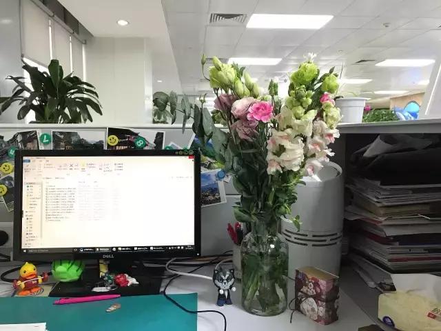 成都鲜花包月99每月4次,花费上万测评1个月