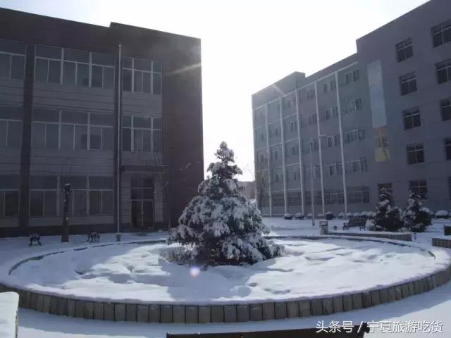 新华学院，不散的青春