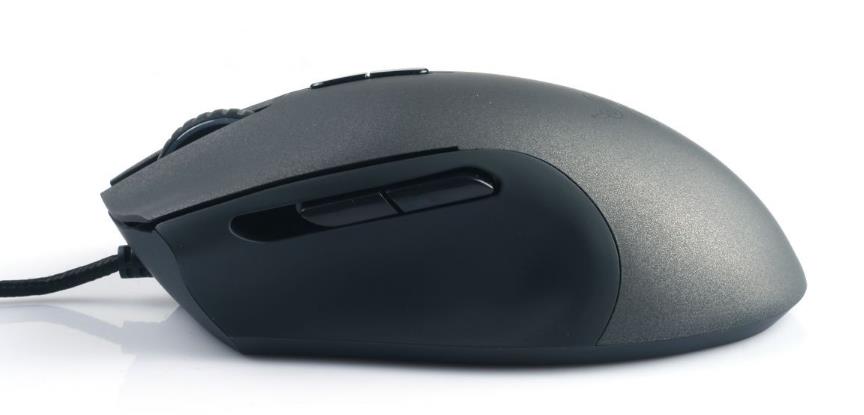 雷蛇八大歧蛇测评,雷蛇和绿蛇