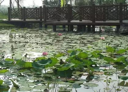 定个小目标100天,定个小目标完整版