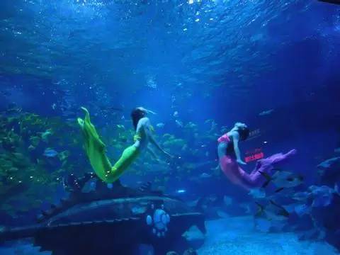 杭州极地海洋游玩图,杭州极地海洋世界旅游攻略