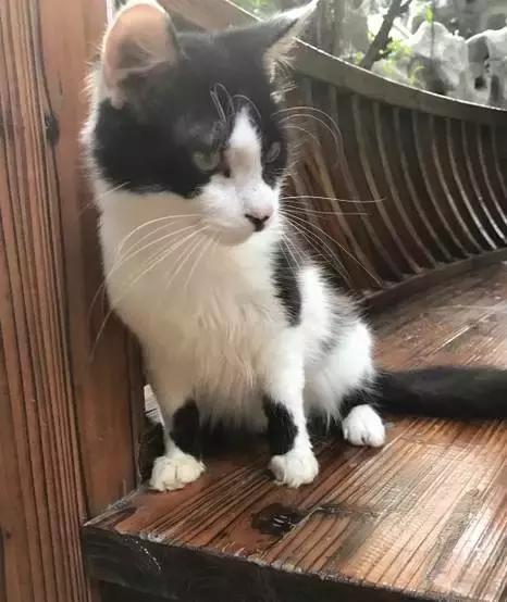 一起泡温泉的奢侈的享受,夏日一起泡温泉